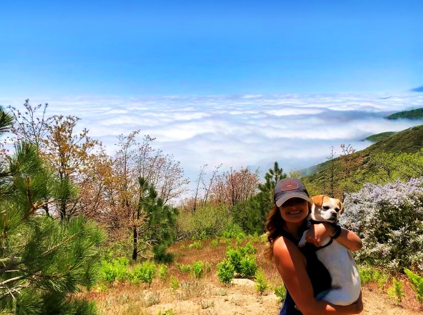A bit gloomy today? Not in Lake Arrowhead where there's plenty of sunshine above the California cloud line.

#ilovelakearrowhead #lakearrowhead #maketheescape #escapetothelake #myparadise #lakedays #lakelife #benchmarkresortsandhotels #benchmarkresorts
📷@thewine_realtor