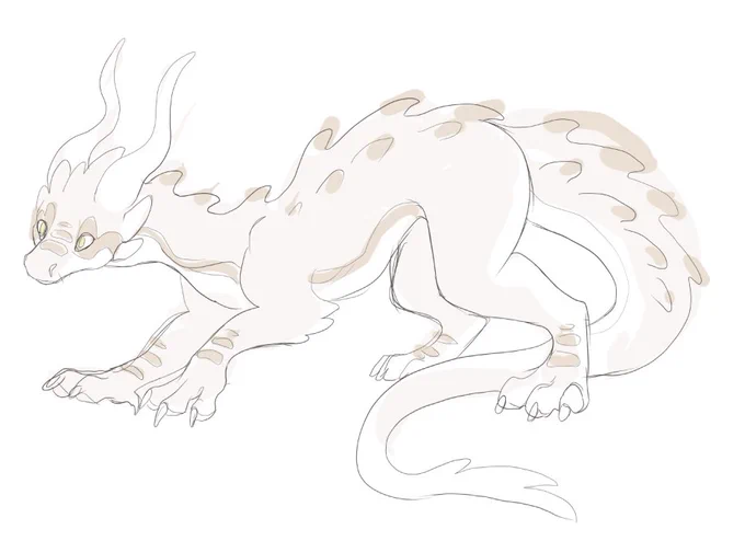 doing a much of random sketches 