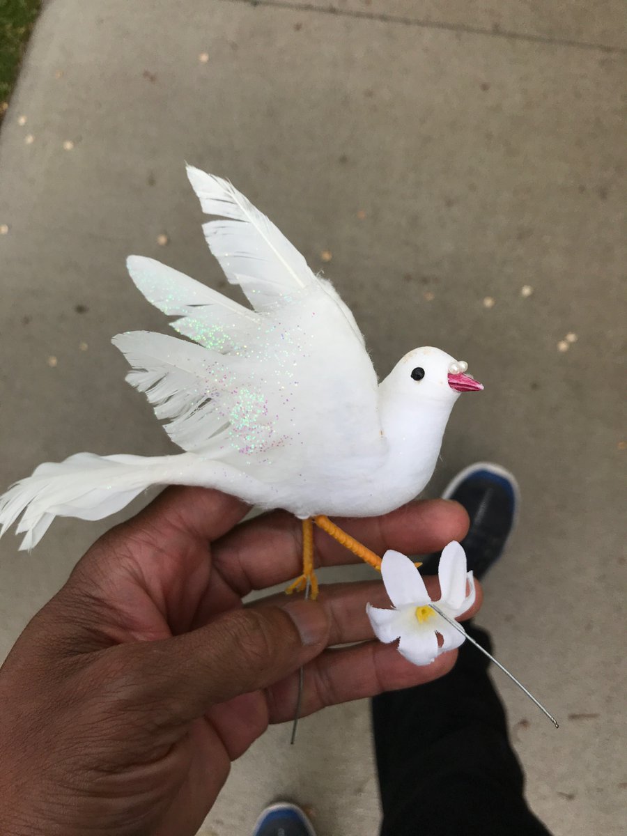 One interesting thing after another today. 

#wadelagoon #wadeoval #PeaceAndLove #foundart #art #dove