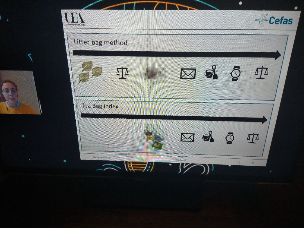 Nick Dunlavey tweet media