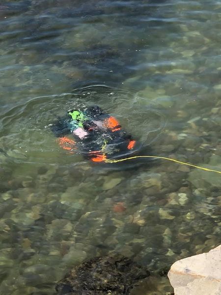 RobotsISE's tweet image. Amazing day at the office! First time we have been in salt water in a while! Amazing crew for another Robots in Service of the Environment - RSE mission.