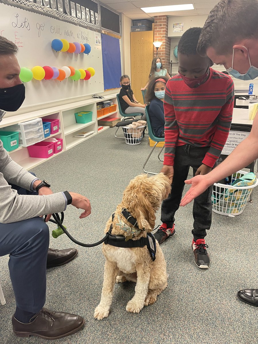 MeghanMoxon's tweet photo. Lots of fun saying hello to Stevie the Lamphere Therapy dog today! We are feeling relaxed and ready to kick off MSTEP tomorrow! @hillerwildcats #WeAreLamphere https://t.co/TUPYw2WZjd