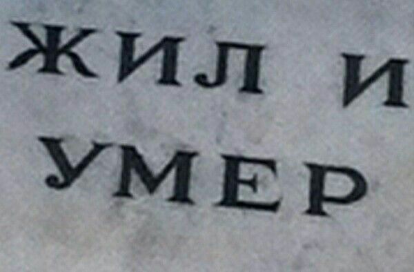 ☁⚪🟤☁шнюк☁🟤⚪☁ on Twitter: