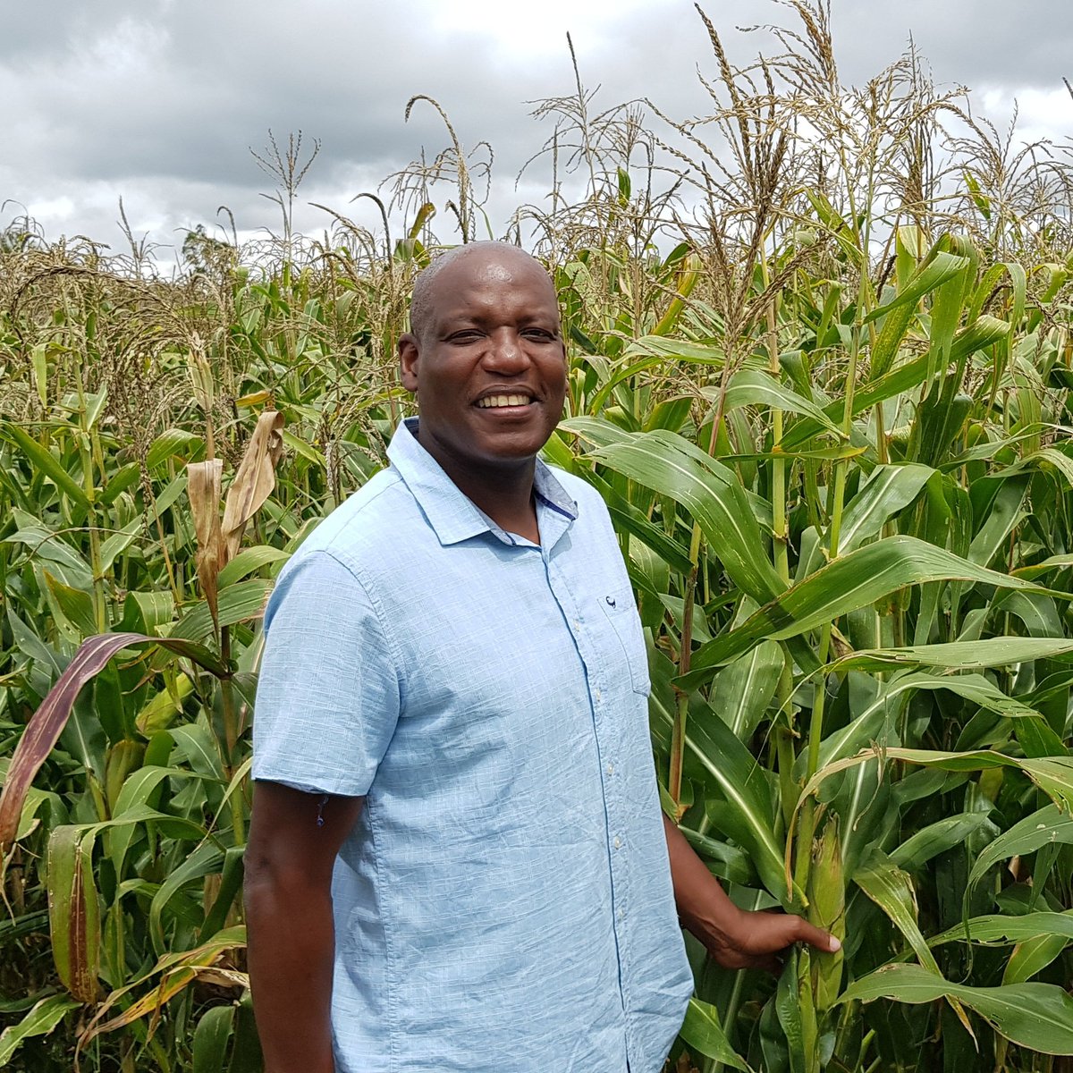 This is my first tweet - let's use the power of technology to improved seed out to farmers 

<a href="/CIMMYT/">CIMMYT</a> 
<a href="/CMagorokosho/">Cosmos Magorokosho</a> 
<a href="/BusyBeeChris/">Christian Thierfelder</a>