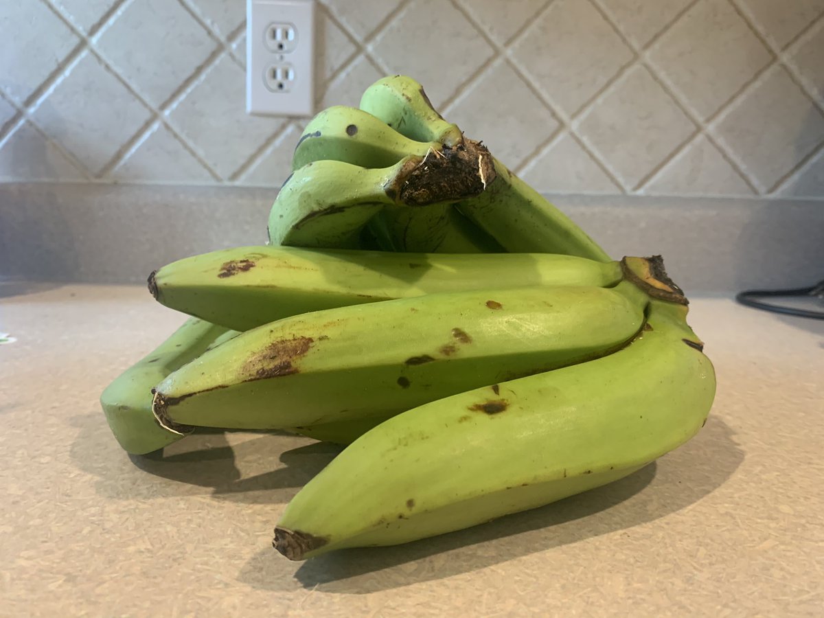 mrtripodi's tweet photo. The gros michels have arrived. https://t.co/WK7g7HJDqj