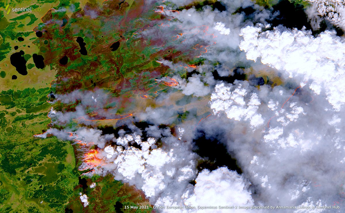 Annamaria Luongo tweet media