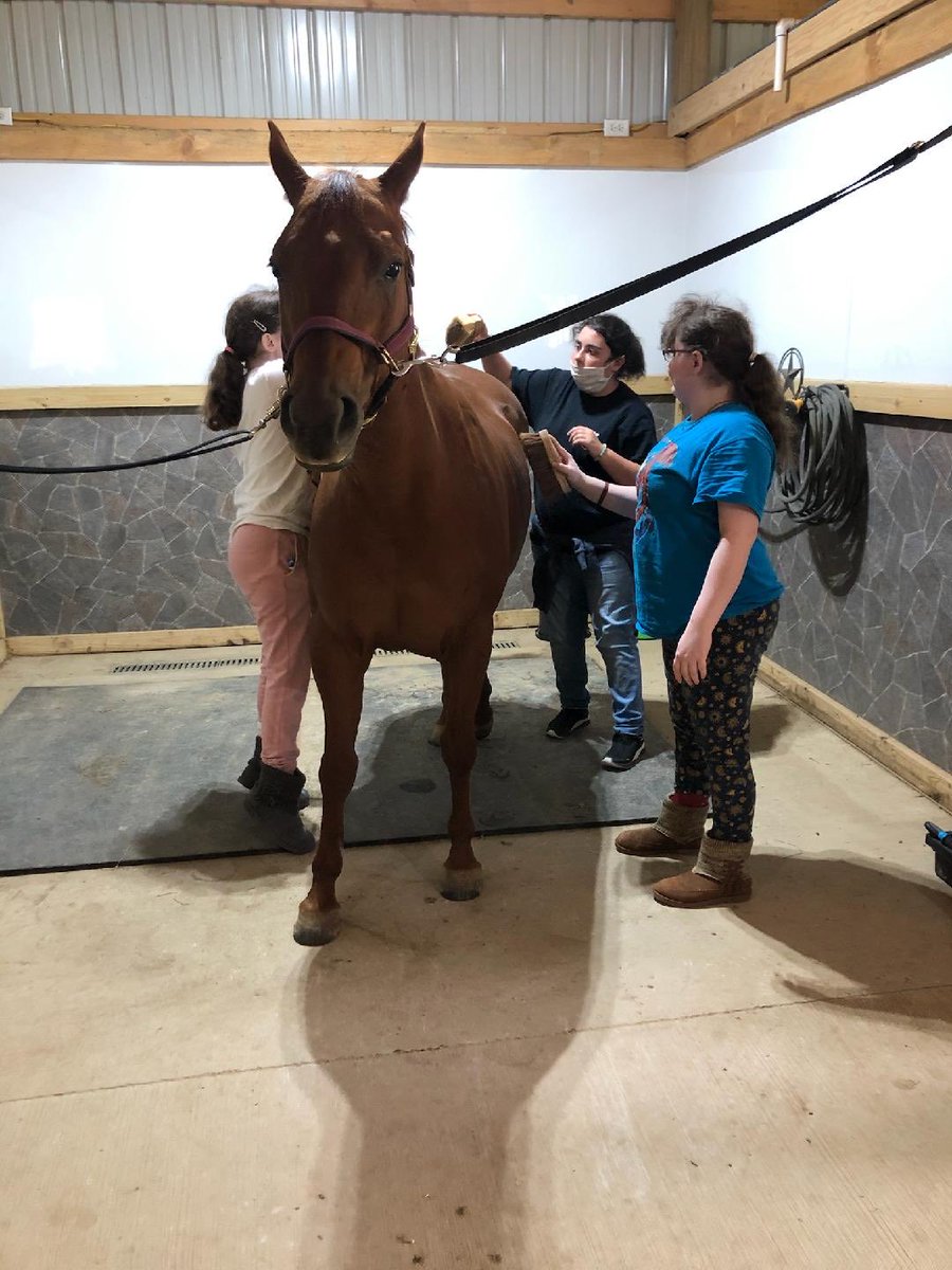 Work Discovery tweet media