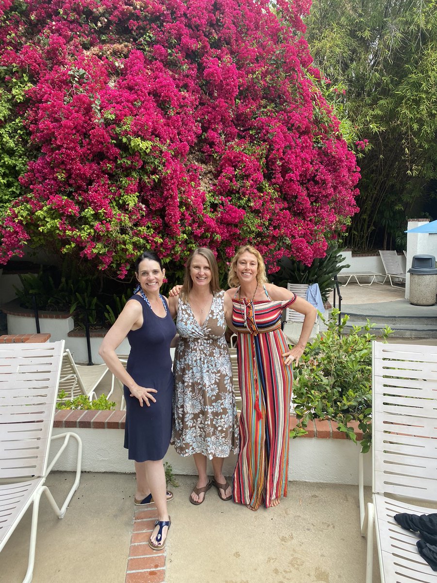 OrlyLobel's tweet photo. Law professors are people too - sometimes they take off for the weekend & cover themselves in mud. Happy bday @LPRamsey #notametaphor #notpoop @mirandaperrygrl #AcademicChatter https://t.co/rJZ6nEF53U