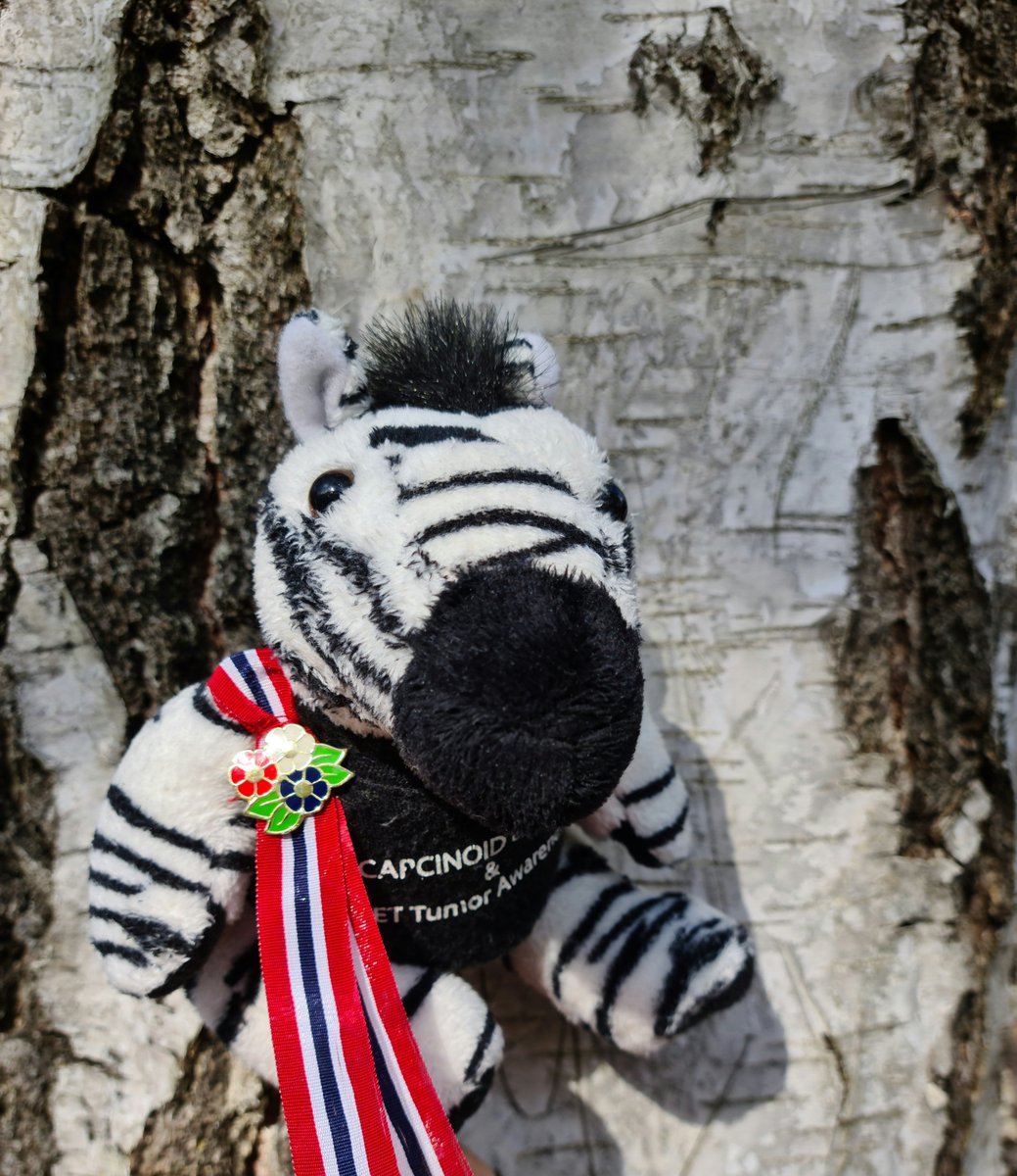 CarciNor tweet media