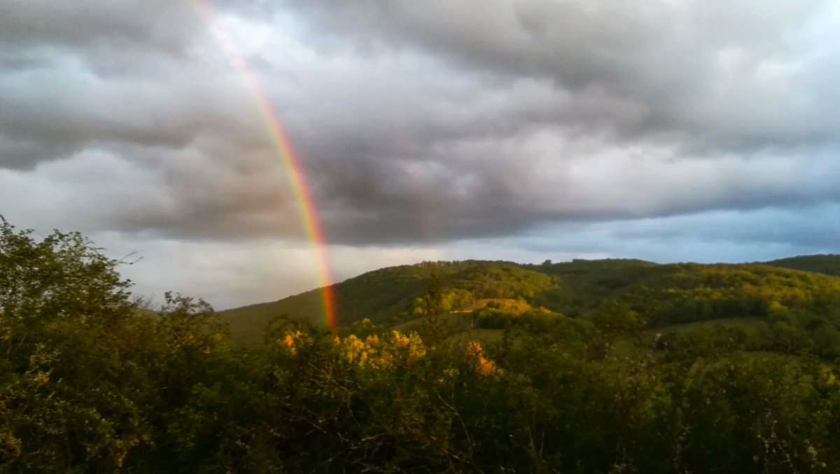 Bibliogîte en Périgord 📚🏊🌳 tweet media