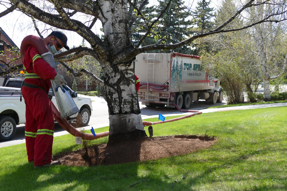 TopSpray's tweet image. Job of the Day: This customer received an application of Montane Garden Mulch.  Montane is our finest sized mulch and provides superior weed control and water retention. 
#topspray #mulchapplication