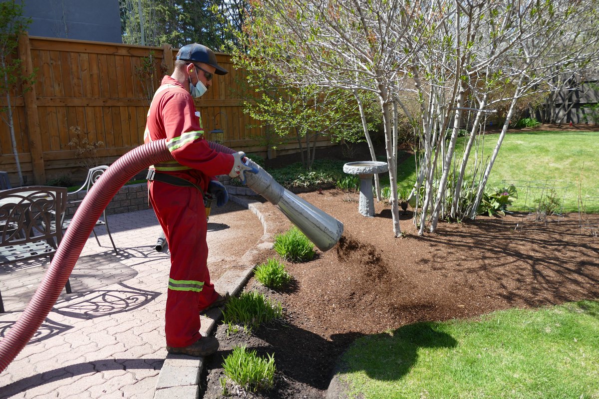 TopSpray's tweet image. Job of the Day: This customer received an application of Montane Garden Mulch.  Montane is our finest sized mulch and provides superior weed control and water retention. 
#topspray #mulchapplication