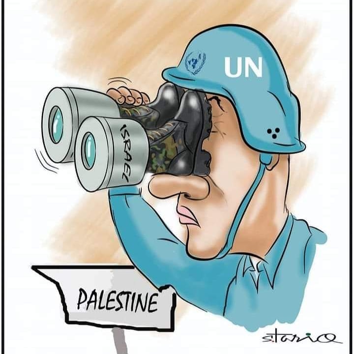 allvirals's tweet photo. #palestine #freepalestine #savepalestine #palestine🇵🇸 #prayforpalestine #palestinewillbefree #freepalestine🇵🇸 #palestineunderattack #palestinelivesmatter #letssavepalestine #palestineforever #palestinetx #palestineupdate #standwithpalestine #free_palestine https://t.co/s409WuhYfP https://t.co/EopiFJuohA