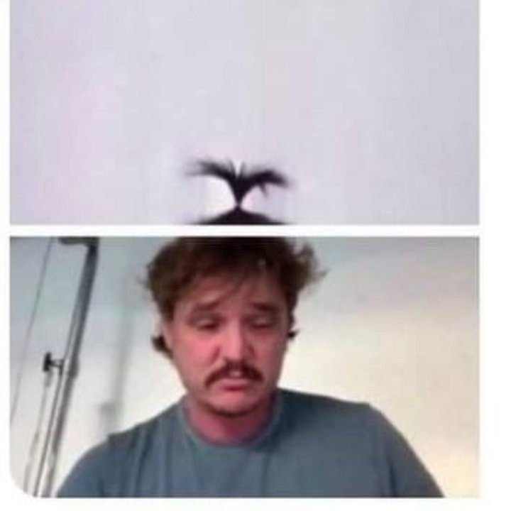 javigram_ok's tweet photo. Buen corte de pelo @PedroPascal1 ❤️ #PedroPascal #TheMandalorian https://t.co/vqypN5vfHr