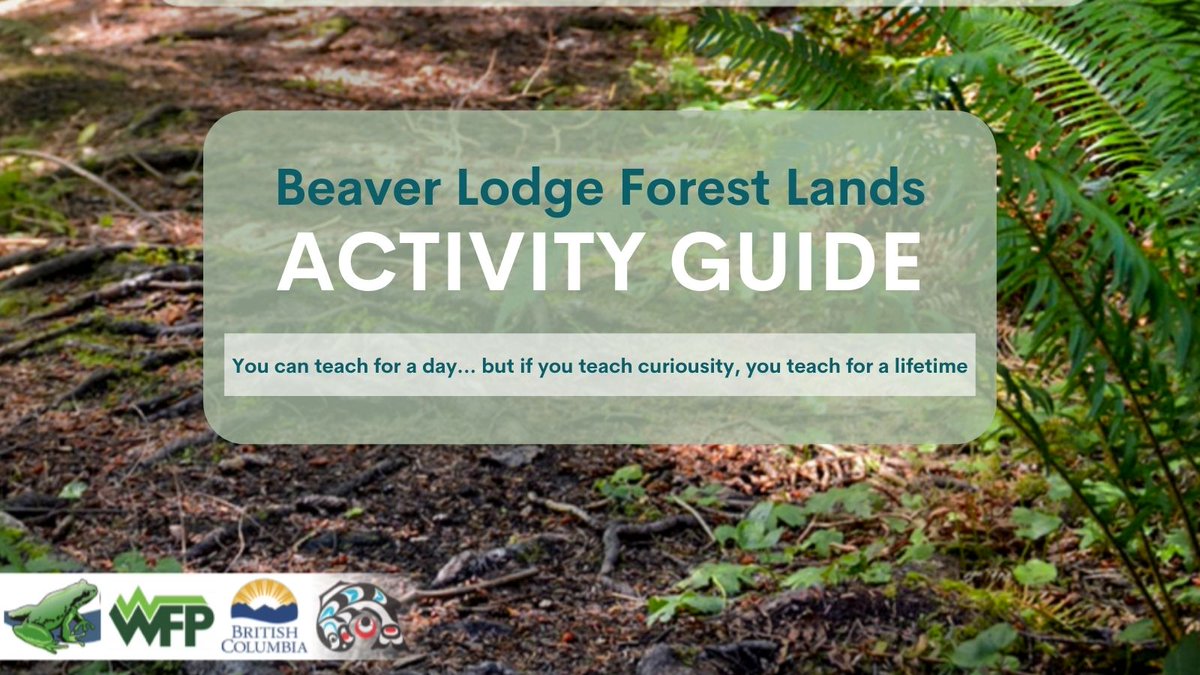 WFPCompany's tweet image. The Beaver Lodge Forest Lands #ActivityGuide helps teachers plan lessons to study the diversity of nature in a #workingforest. We&apos;re happy to support the redesign of this resource from @Greenwaystrust.
It might inspire you to plan some #familyfun too!
View bit.ly/3bpOCce