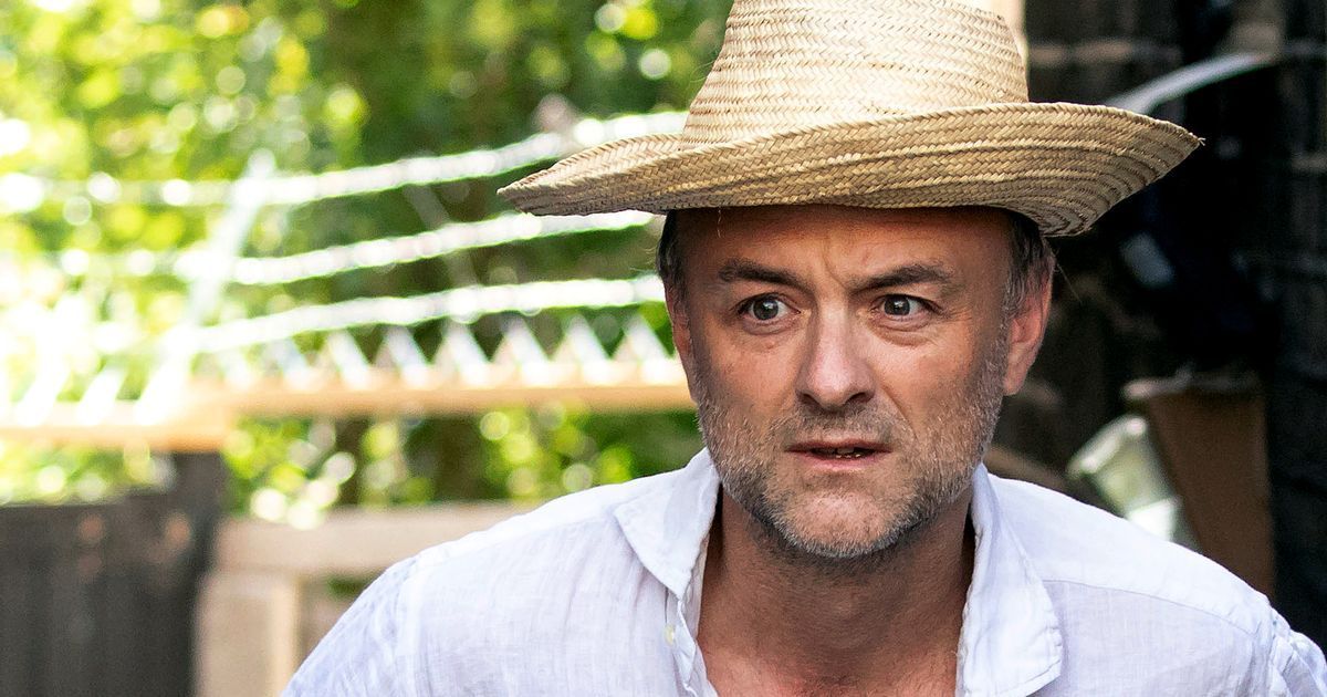 Dominic Cummings wearing a straw hat