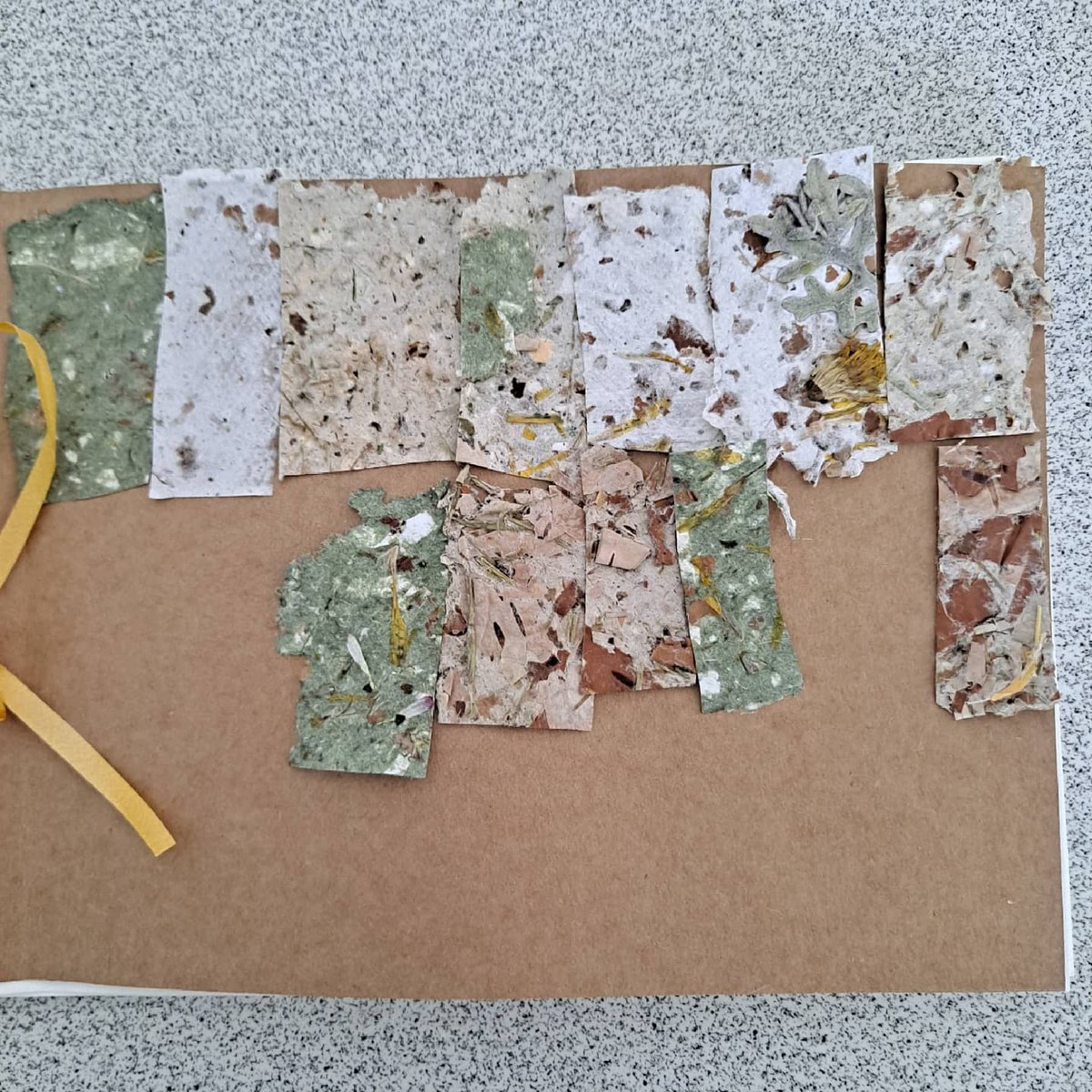 creativestates's tweet photo. The results of last week's natural ink experiments and paper making with students at Regency School in Worcester
#thinkingdifferently @meadowarts
#artsinschools #artineducation #naturalinks #naturalartist #naturalart https://t.co/4hKcFnkuKY