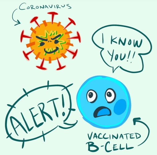The COVID-19 vaccine protects you from serious illness and death. The vaccine teaches your body what to look for if you come into contact with the coronavirus.   Let's end this pandemic!  Get a vaccine appointment at FHC by calling 502-772-8110.  Same day appointments available!