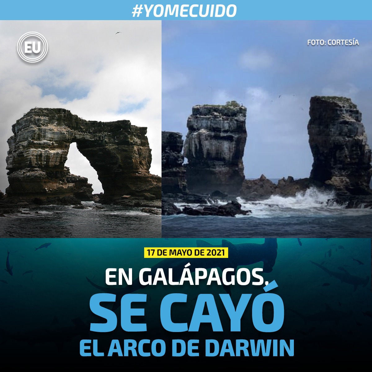 eluniversocom tweet picture