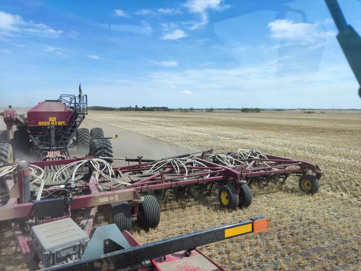 MichealWpf's tweet photo. Seeding canola for a great cause today. Hopeful it produces much. https://t.co/bQPjCN81ke @STARSambulance #GrowingforSTARS #WeAreAllSTARS https://t.co/WNrFdyde6V