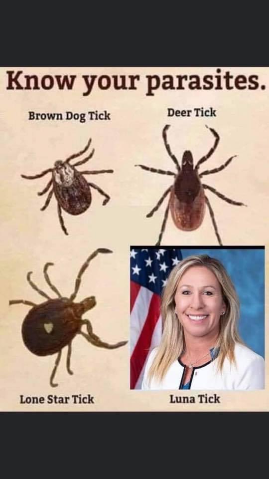 Debra (@bloom59) on Twitter photo 