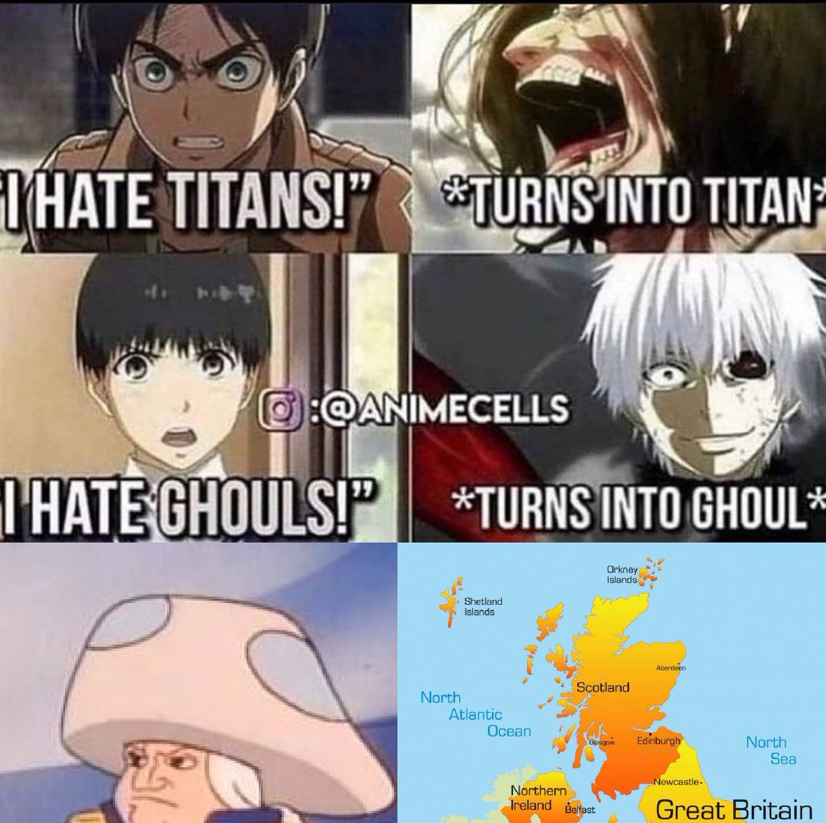 WashingToad_P's tweet image. 