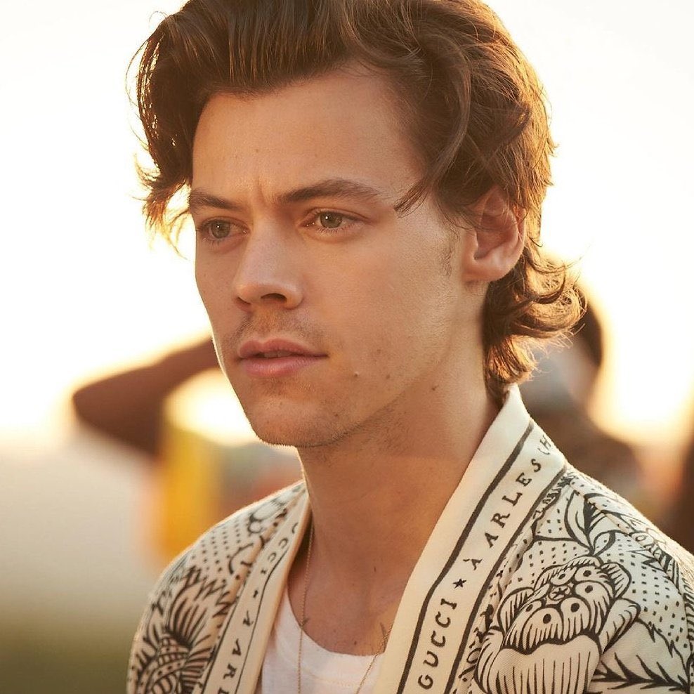 hrryvalid's tweet image. boop @editrry hrry wants to remind you how valid and loved you are