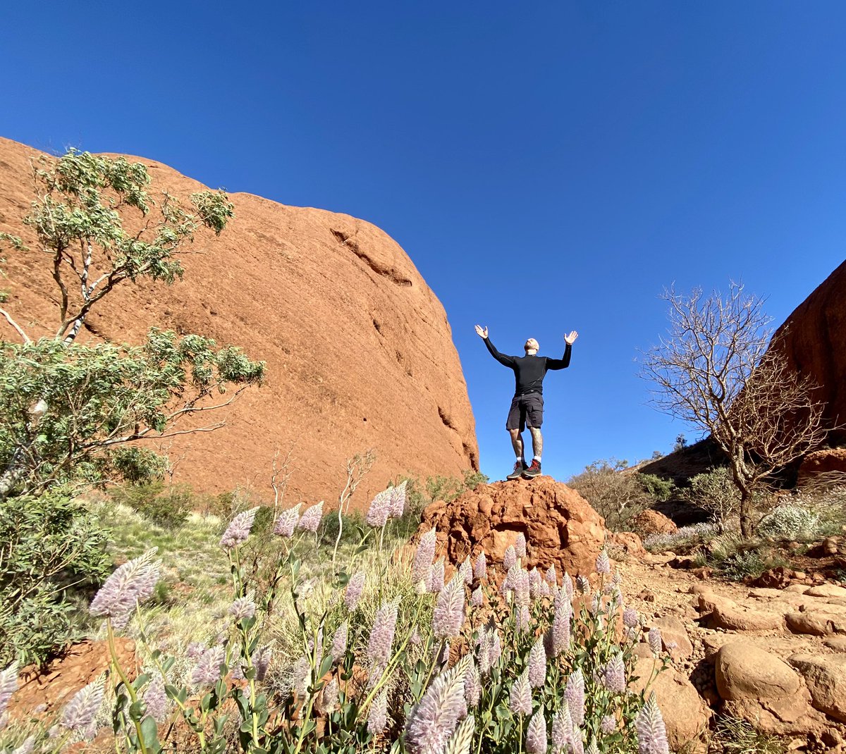 arijhunter's tweet image. Hangin here