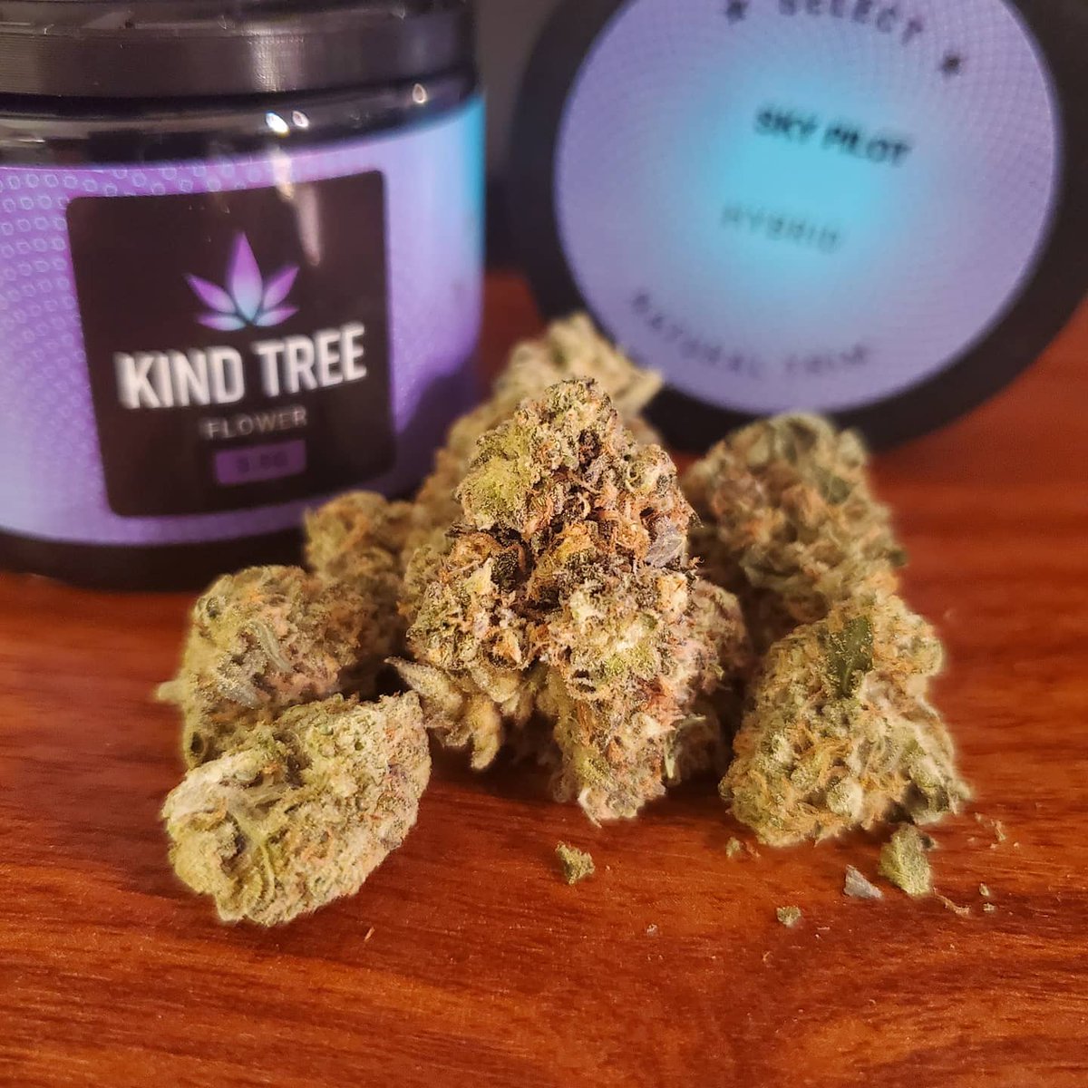 bud_ease_'s tweet photo. Sky pilot from @KindTreeCanna. The prices are great... I think I'm drifting from picking my strains based on the lowest prices. This stuff is ok. Not one of my favorites. If you can afford it, I recommend looking elsewhere. https://t.co/9Kl3SA7DBm