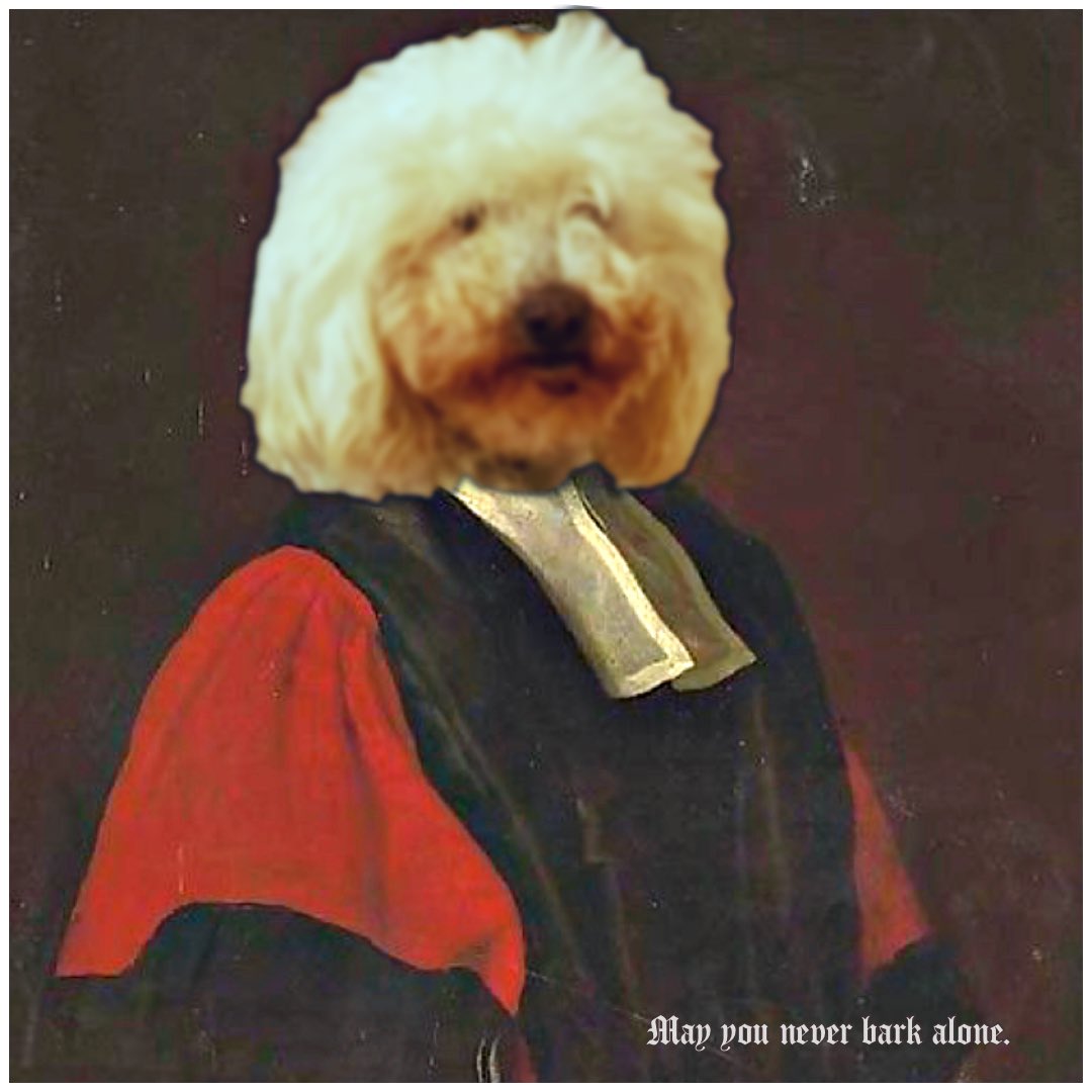 My dog looks like he's got on a primo powdered wig. #dog #doggo #doggy  #dogportrait, image size:1080x1080