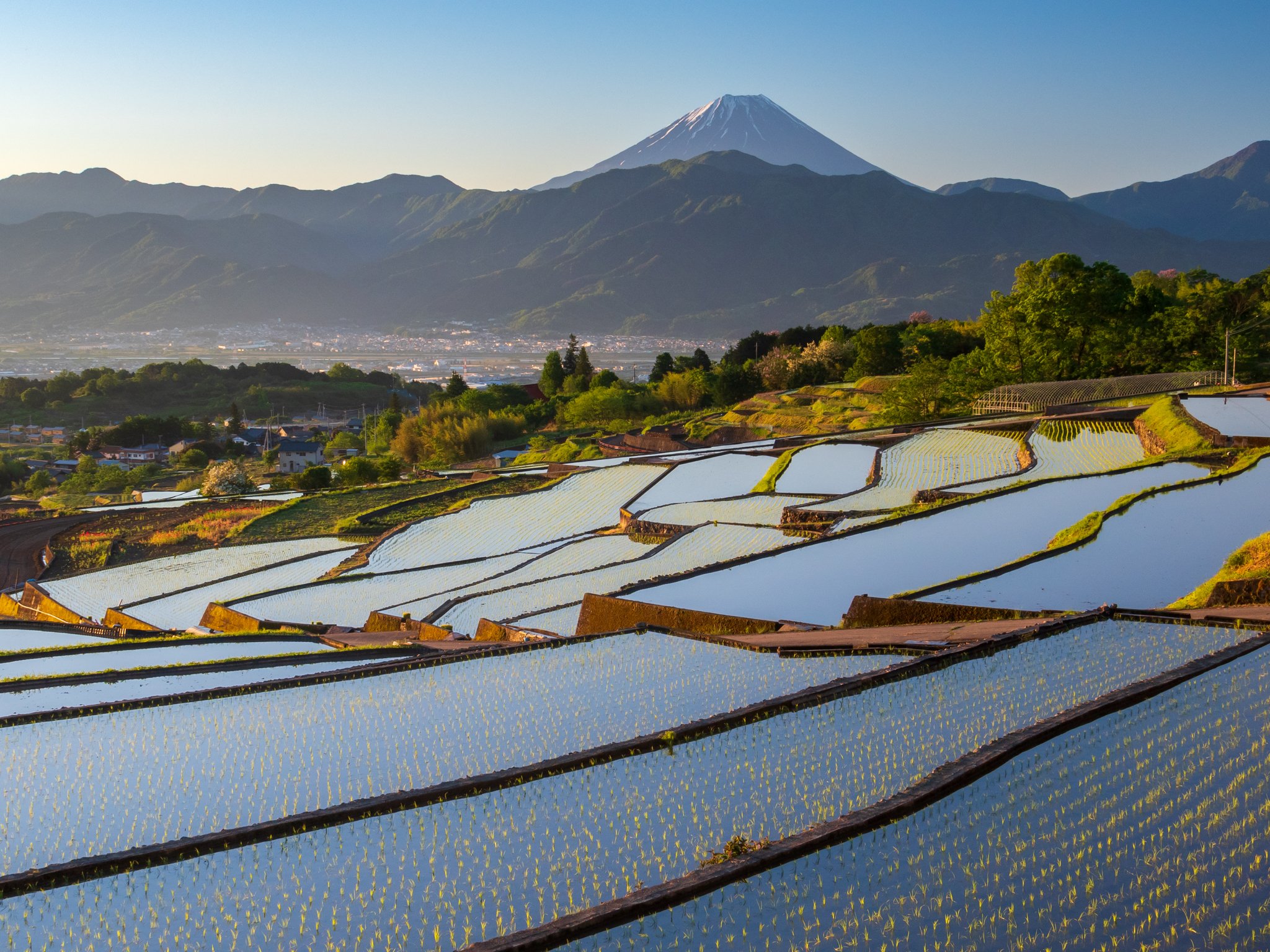Kazuyuki Matsui 棚田の風景 田植えの初夏と実りの秋 南アルプス市にて以前撮影 富士山 Mtfuji 中野の棚田 棚田 T Co P06khdfkjj Twitter