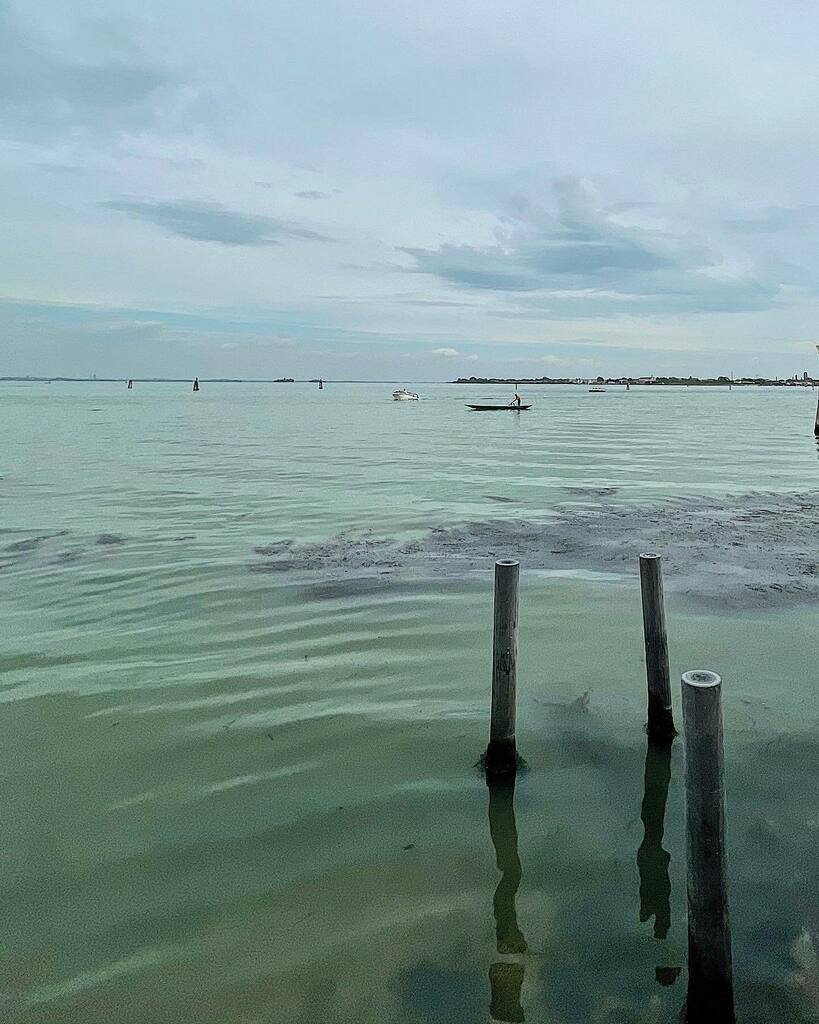 magic of the lagoon
#venice #veneziadavivere #veneziaunica #igersvenezia #volgovenezia #venicelagoon instagr.am/p/CO_Qsz8BPee/