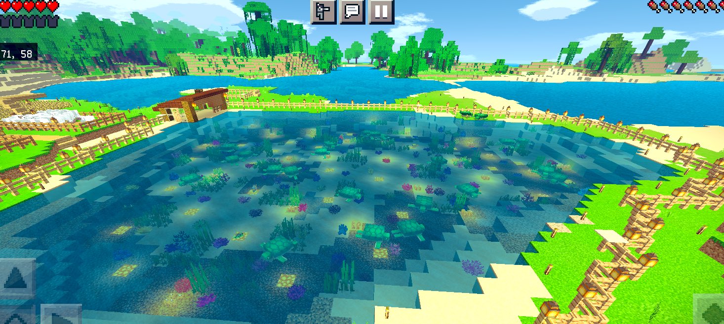 Flare 人工的に作られた珊瑚礁の浅瀬ではウミガメたちとシュノーケリング 泳いだ後は星を見ながら砂浜でのんびり Glshading 影テクスチャ作った人 Minecraft マインクラフト マイクラ スローライフ マイクラ好きな人と繋がりたい Shader