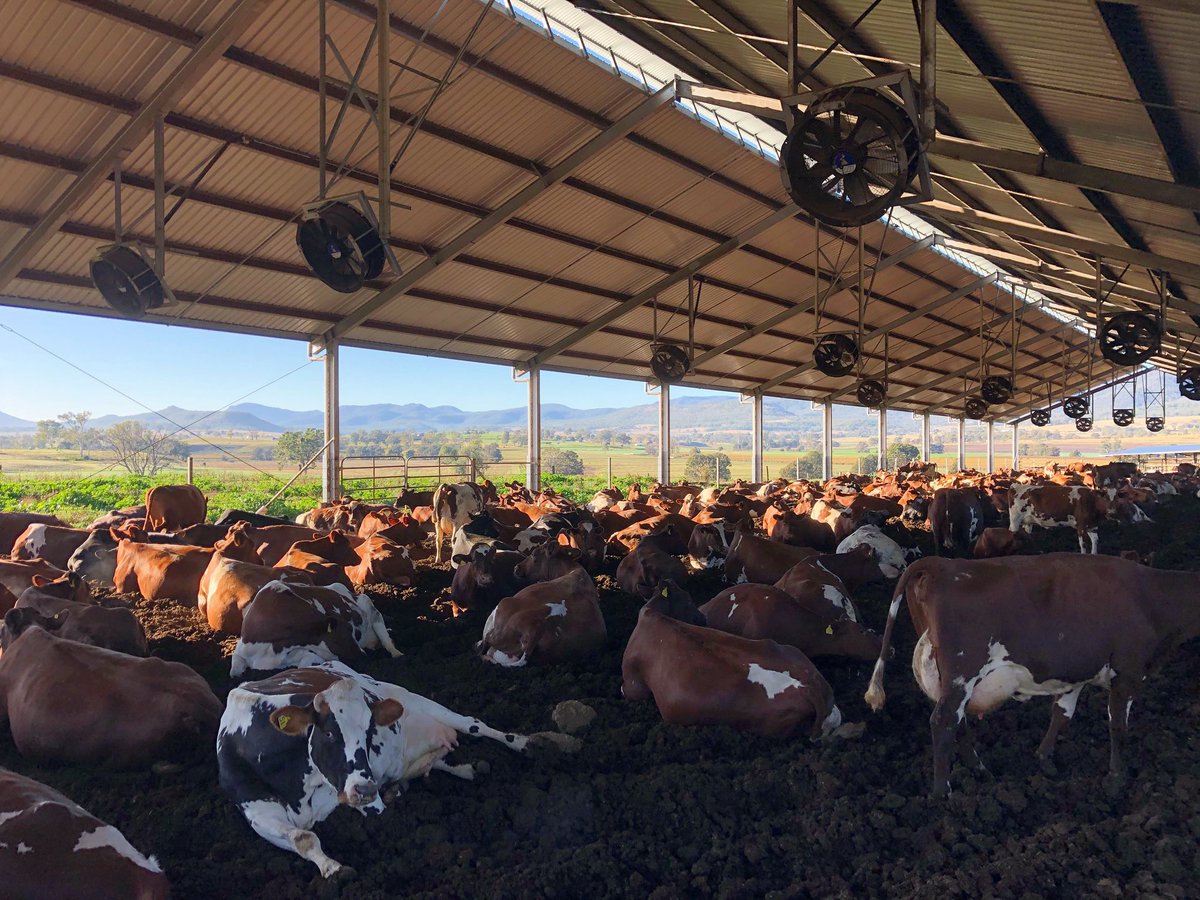 The girls enjoying the autumn sun and scenic views 🐮🌽🌾🥛