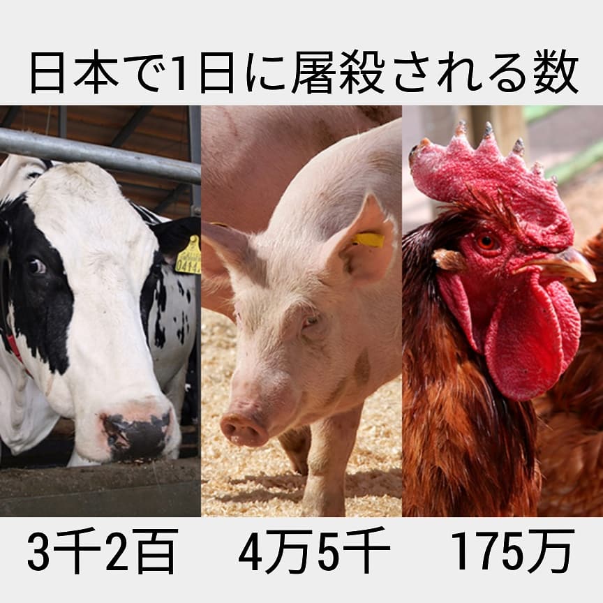 屠殺 屠殺