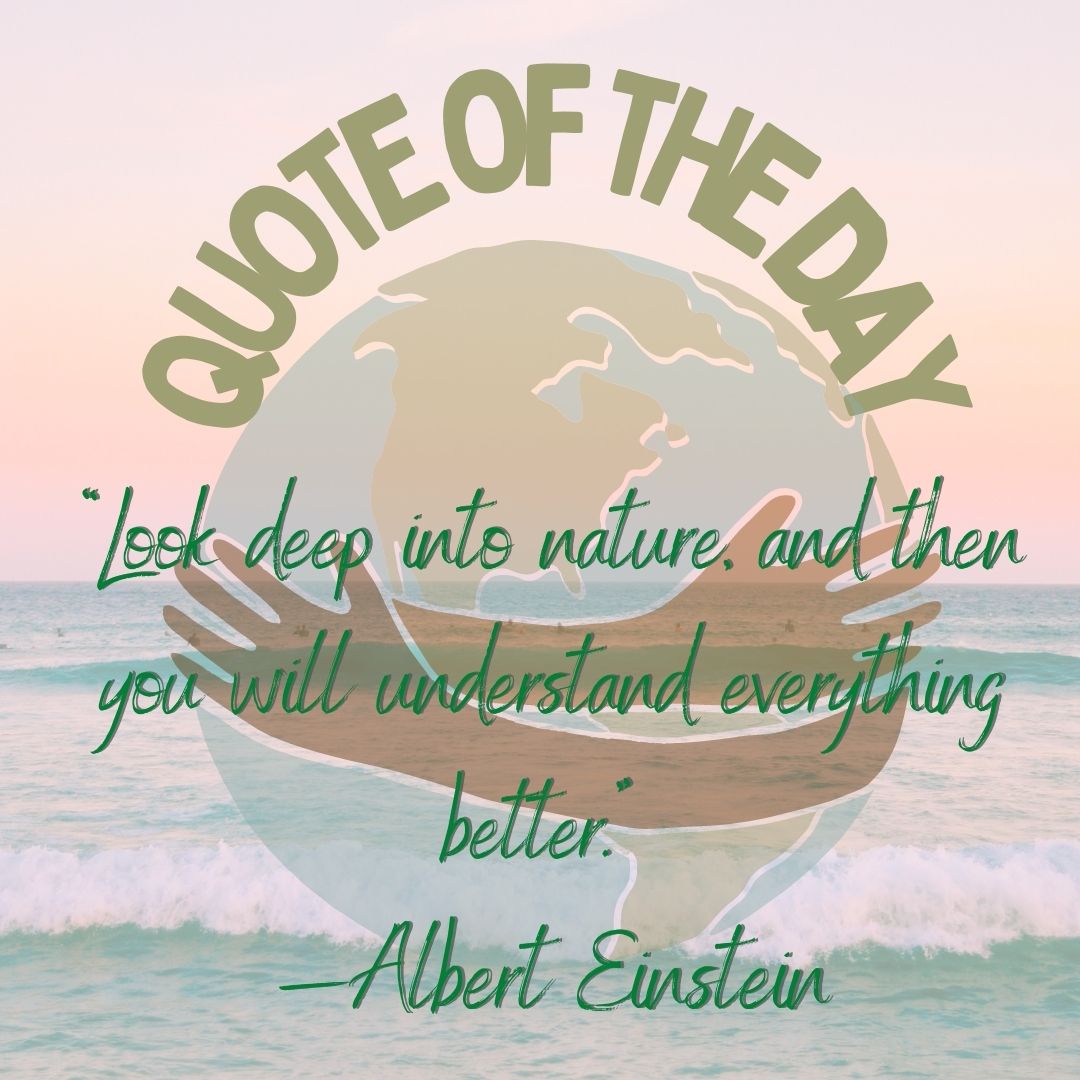clcbai_ph's tweet photo. Thought of the Day💡
#thoughtoftheday #quoteoftheday #dailyquote #dailythoughts #wordsofwisdom #thoughtstoponder #vocabulary #learnenglish #wordoftheday #clcwordsoftheday #clcenglishonline #onlineenglish #esl #grammar #englishgrammar #clcbaihotelph #clcjapan #campuslanguagecenter https://t.co/7JnKu2qEG6