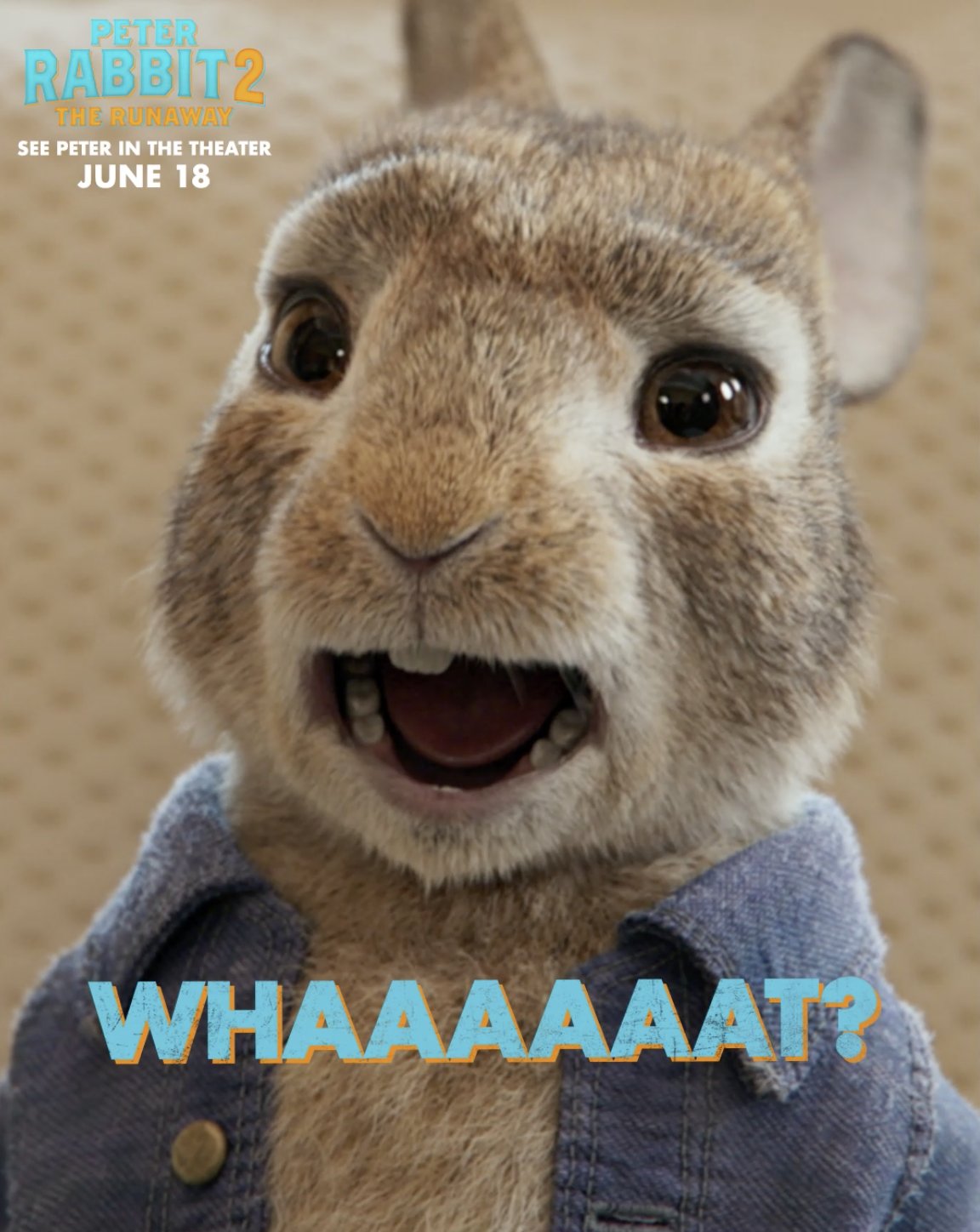 Peter Rabbit Memes Peter Rabbit 10 Minutes Funny Scenes Compilation