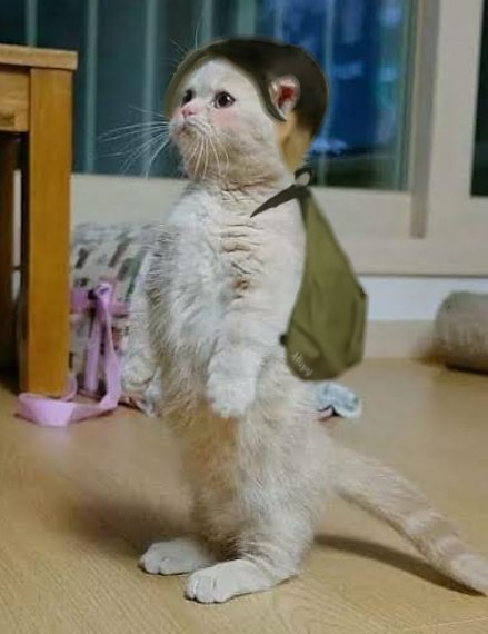 เจียมพจน์ รถเลี้ยว tweet media