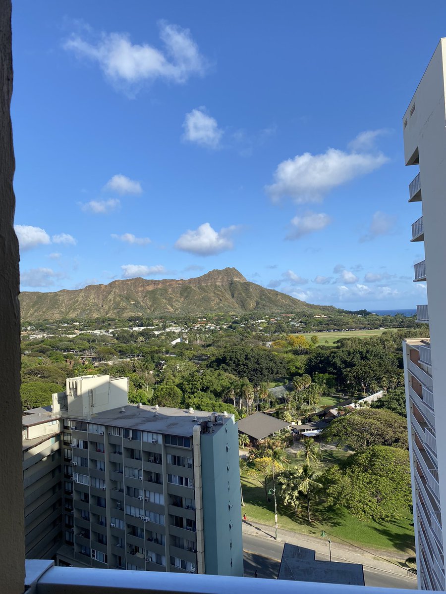 MiguelFasho's tweet photo. Aloha! Bitches 🌺 https://t.co/nKDrRbojd0