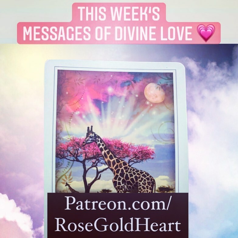 SharpSweetBella's tweet photo. Did you know I offer weekly tarot/ oracle readings on #Patreon? ✨😍
A five card reading + blessing to start our week off right 🔮✨💅🏼
Sign up for as little as $3/mo 💖
https://t.co/VivSrvdQAC
#Linkinbio
#shinebright
#patreon #tarotcards #oracleca… https://t.co/moCReYr450 https://t.co/2RiRaCP2zo
