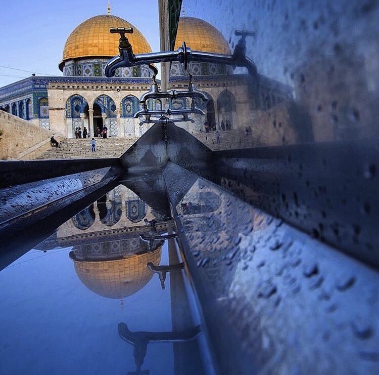 Kutsalın Esirse,Sende Özgür Değilsin.
#ComeToTrabzonSoerloth #YeniProfilResmi #Masumiyet #EsnafaMujde #KuduesBizimdir #freepalastine #Free_Palestine #özgürkudüs #PalestineUnderAttack #FilistinDireniyor #Gaza #SONDAKİKA #Hamas #HearGaza