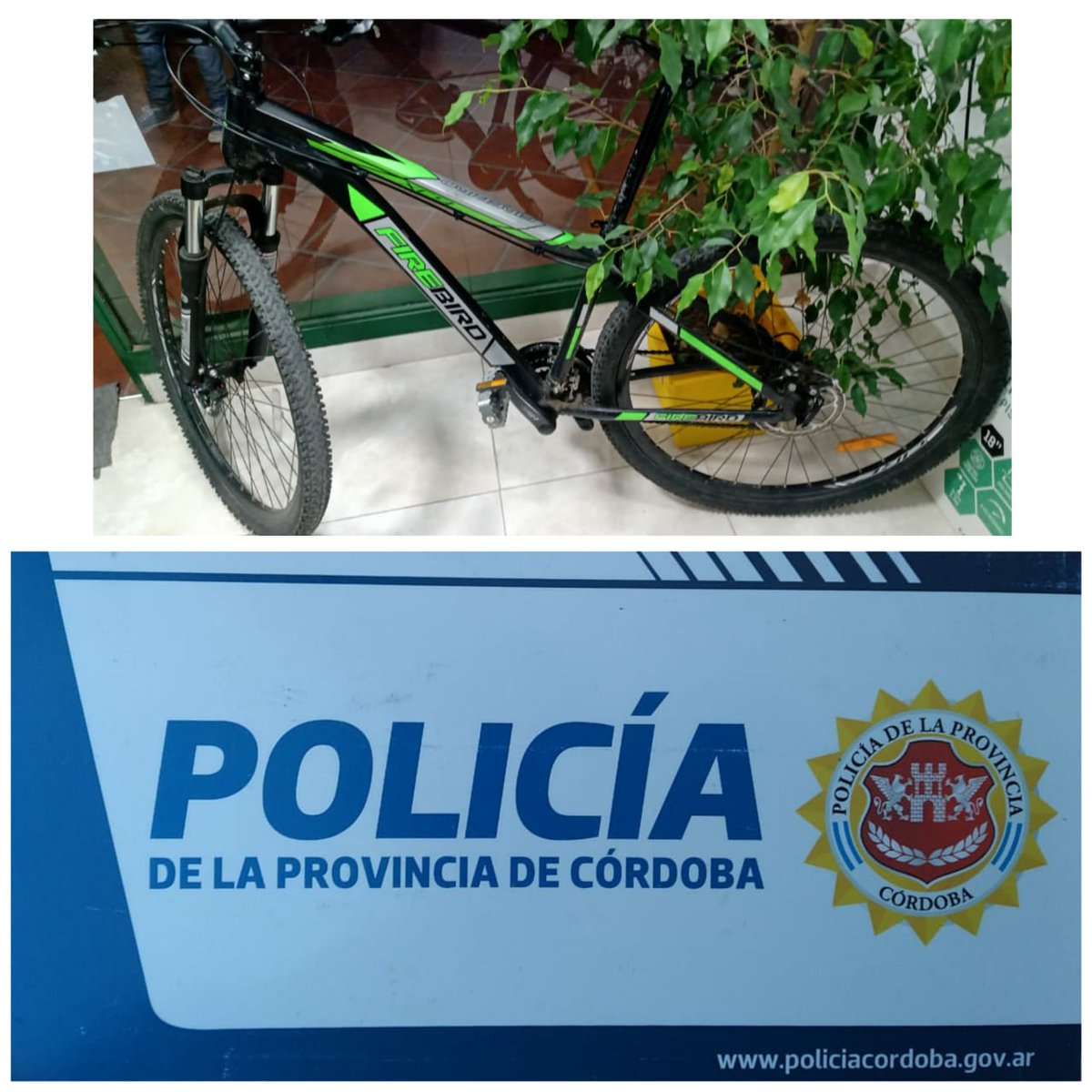 PoliciaCbaOf's tweet photo. En Bº #ParqueCapital, un detenido tras sustraer una bicicleta a un transeúnte en la vía pública. En el procedimiento, personal del #DttoIII, logró secuestrar el rodado mencionado. https://t.co/Np9KxOiUul