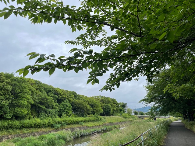 おはようございます！
京都市山科区、本日の天候は曇り☁
雨は降っていないですがジメジメしています😅
本日もよろしくお願いします。

#企業公式が毎朝地元の天気を言い合う 
#企業公式フォロー祭り
#京都の天気