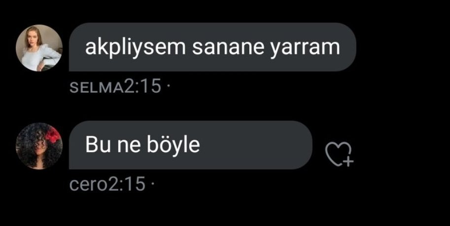 ne demek sanane amk dedem akpli diye onu huzurevine verip ac susuz birakmalarini soylicem?