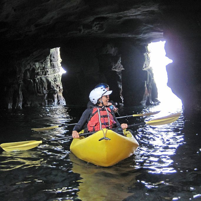 Why not explore the beautiful San Diego in an entirely different way? La Jolla Sea Cave Kayaking is the best way to see one of the most scenic shorelines in the country and come face to face with some of the locals... 🐋

📷: @lajollaseacavekayaks