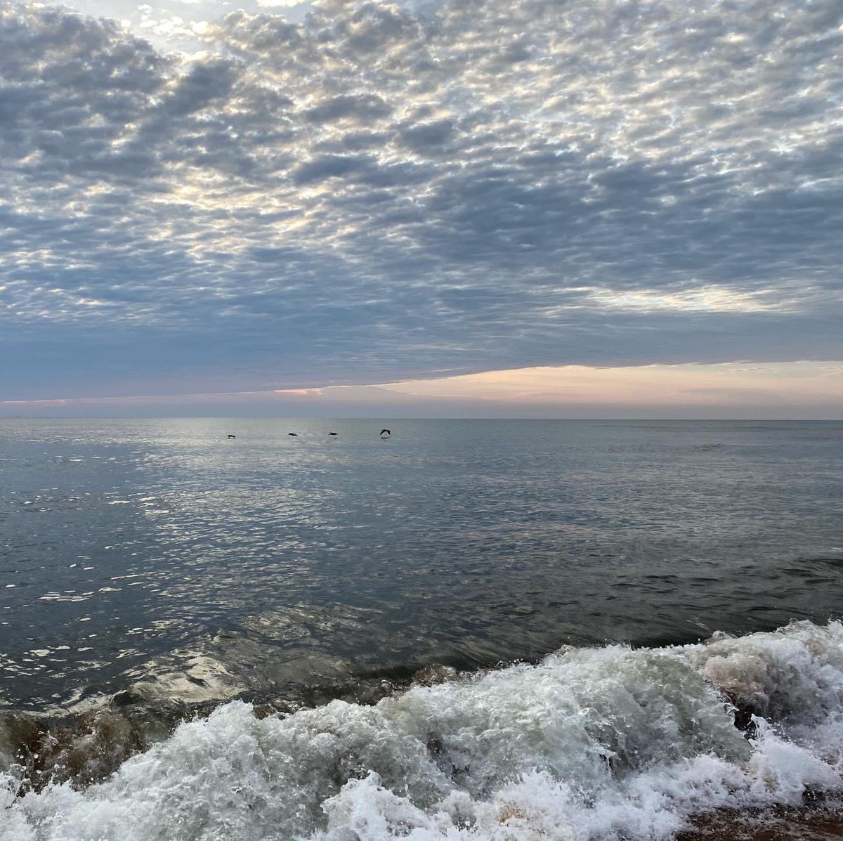 If you have life you have purpose - Carolyn Myss
.
.
#sunrise #flaglerbeach #bekind #mindset #flowlove #gratitude #changeiscoming #flaglersurf