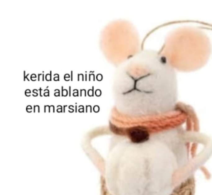 A. C. Cha de A. A. tweet media