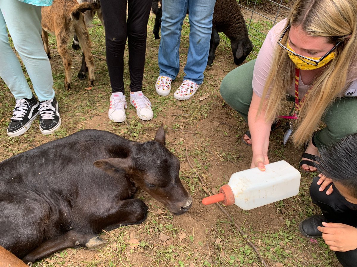 Slaughter Elementary tweet media