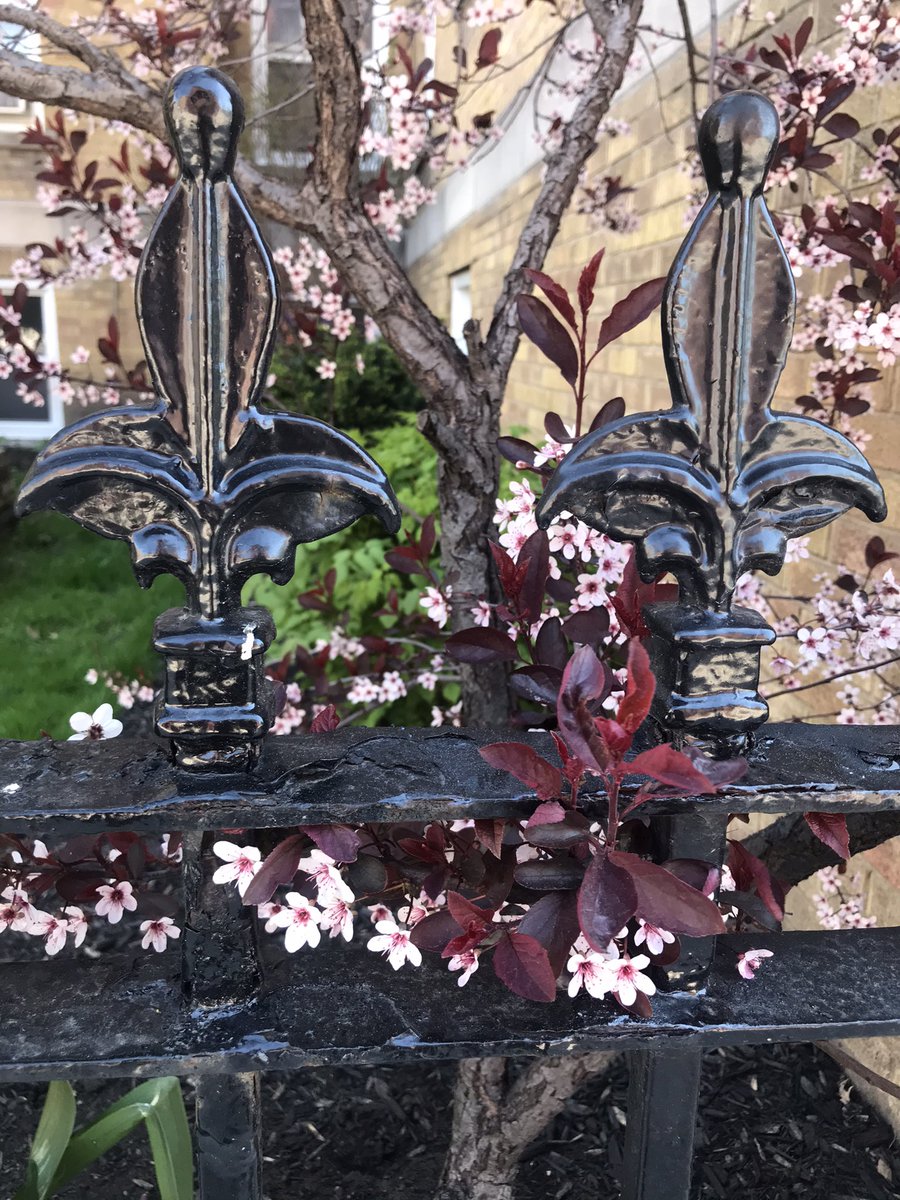 Iron and flowers