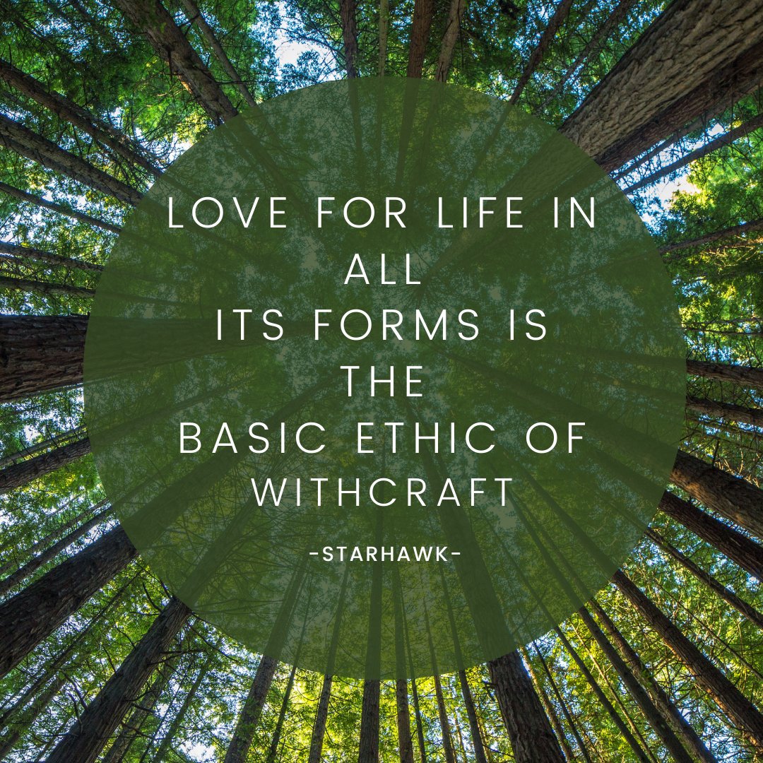 🌾🕸️🌒🌕🌘
#paganism #spirituality #witchesoftwitter